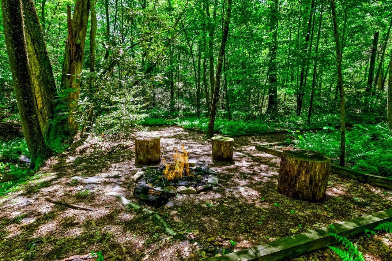 Lucilles Creekside Hideaway Villa Blue Ridge Kültér fotó